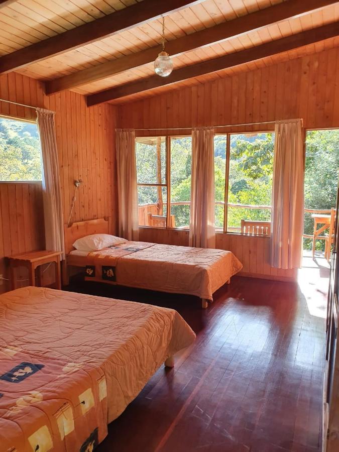 El Toucanet Lodge Copey Экстерьер фото