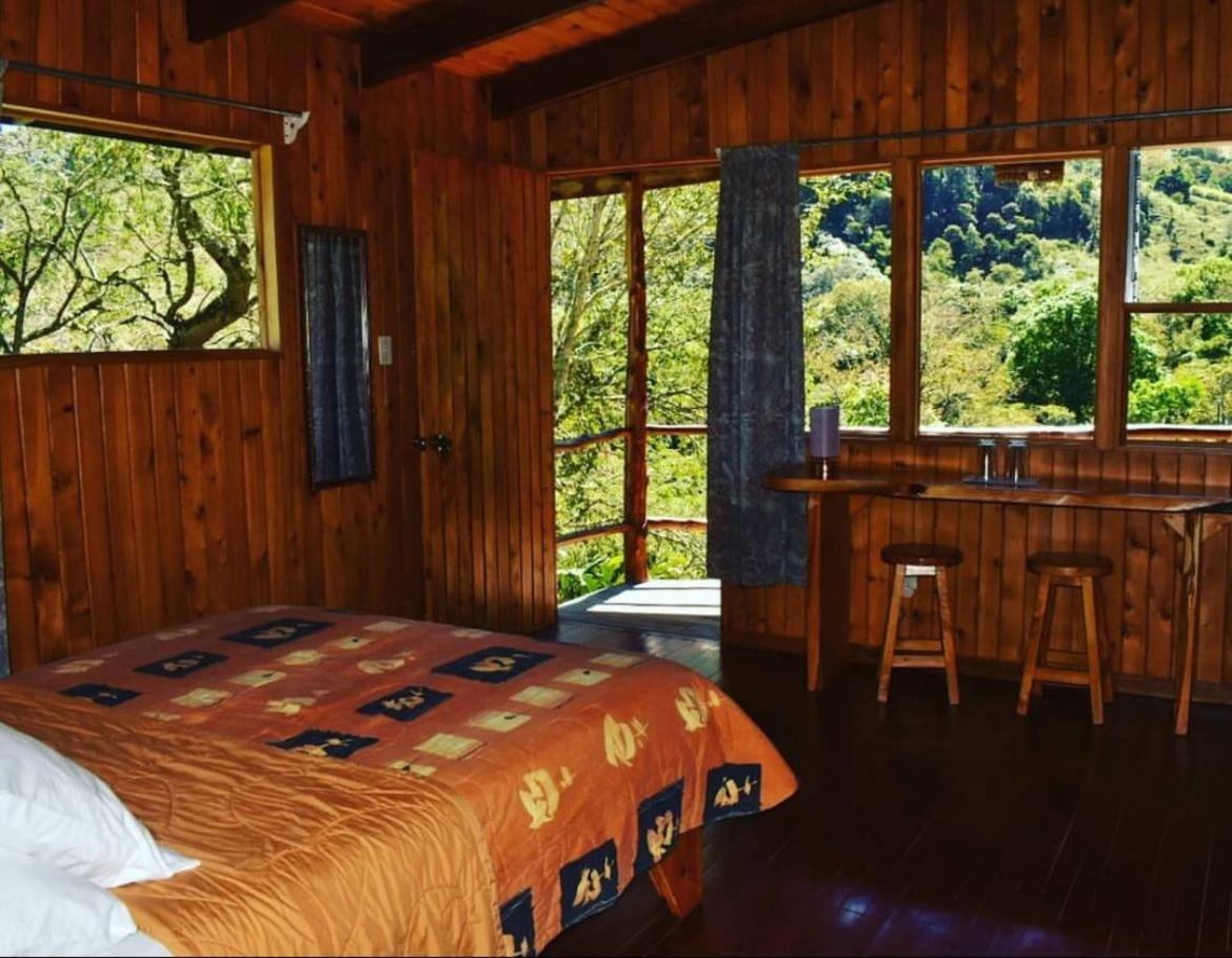 El Toucanet Lodge Copey Экстерьер фото